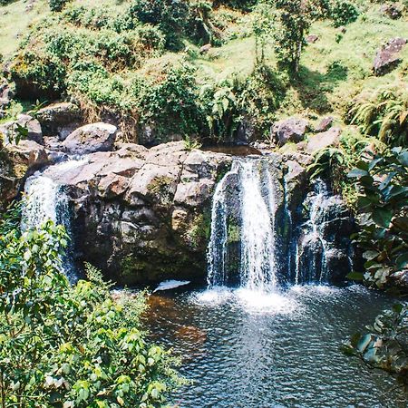 Mai Kilimanjaro Home Stay Marangu Eksteriør billede