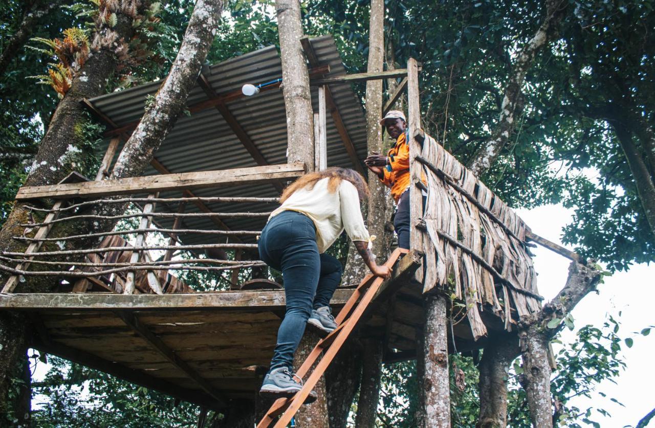Mai Kilimanjaro Home Stay Marangu Eksteriør billede