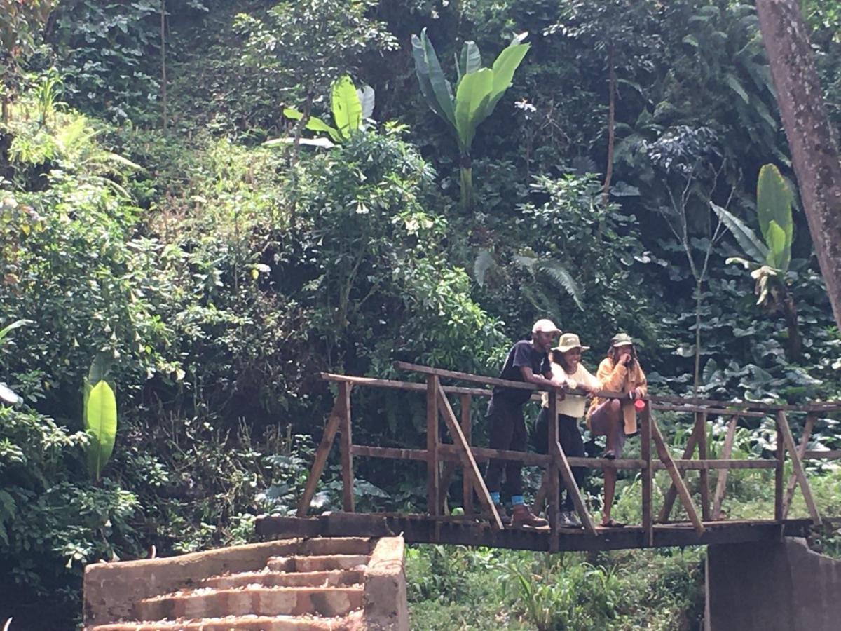 Mai Kilimanjaro Home Stay Marangu Eksteriør billede