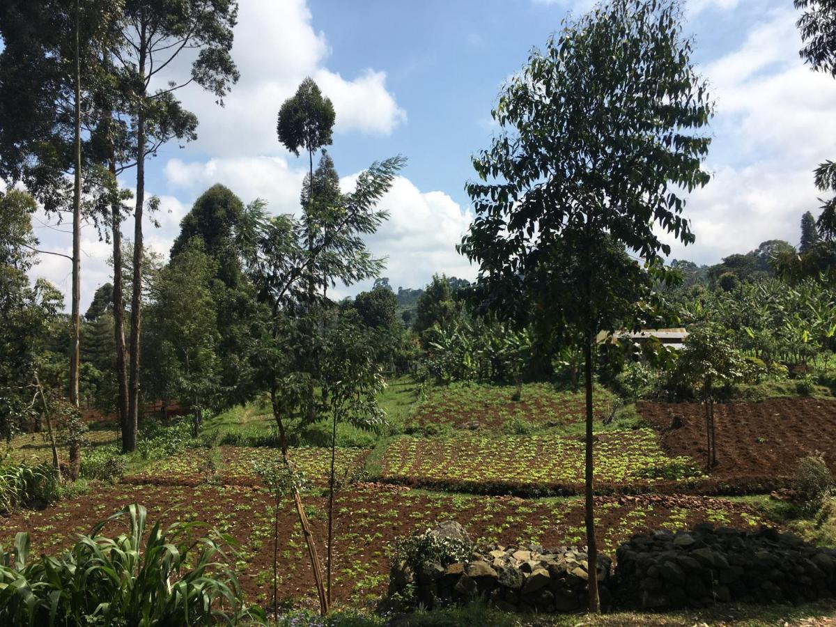 Mai Kilimanjaro Home Stay Marangu Eksteriør billede