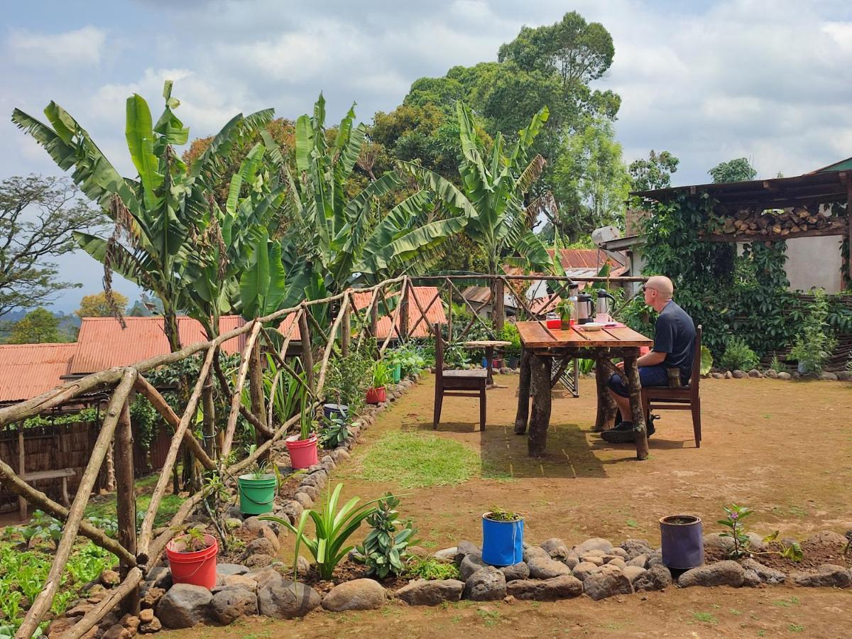 Mai Kilimanjaro Home Stay Marangu Eksteriør billede