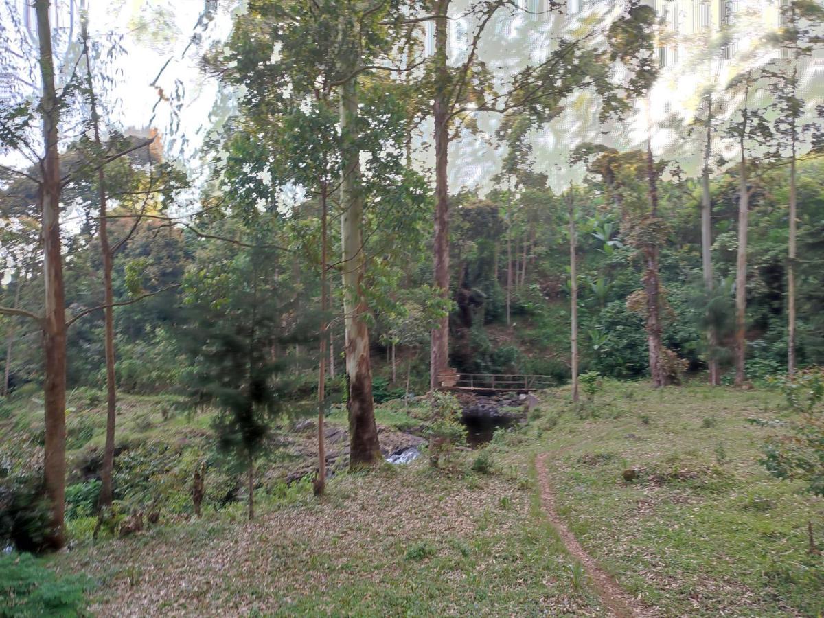 Mai Kilimanjaro Home Stay Marangu Eksteriør billede