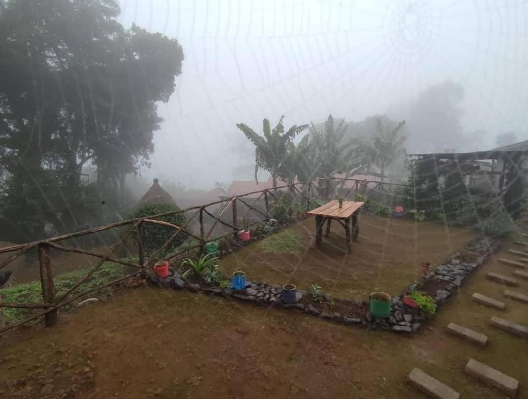 Mai Kilimanjaro Home Stay Marangu Eksteriør billede