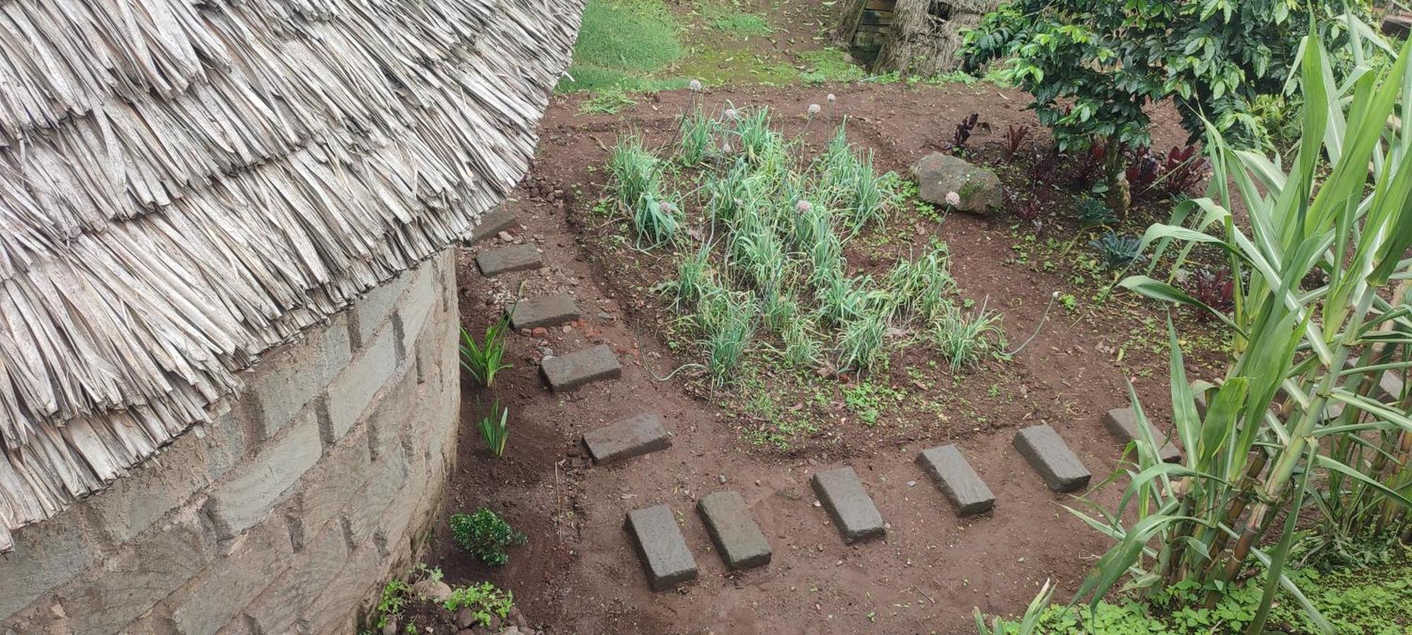 Mai Kilimanjaro Home Stay Marangu Eksteriør billede