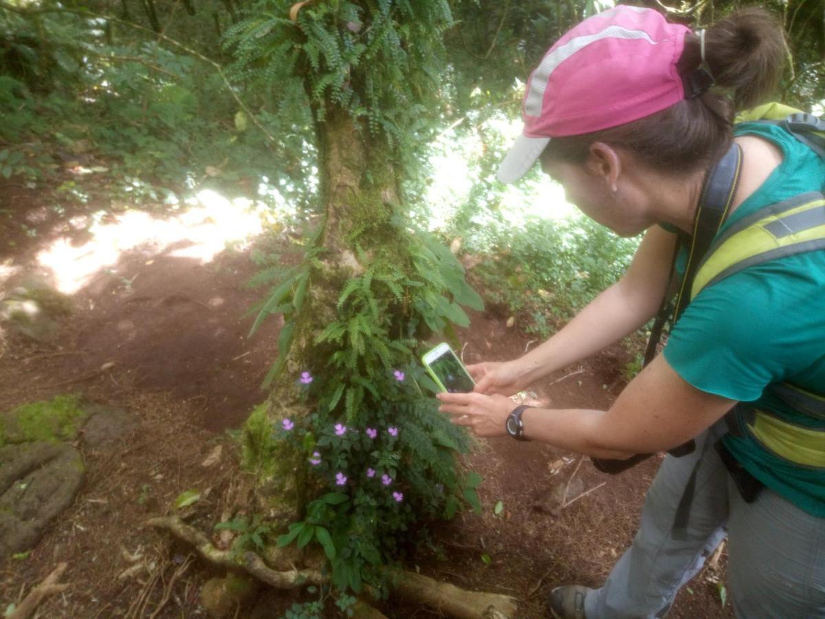 Mai Kilimanjaro Home Stay Marangu Eksteriør billede